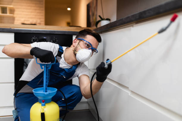 Best Emergency Pest Control  in Fairmount Heights, MD