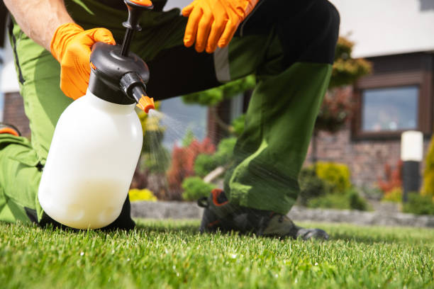 Best Wasp Removal Services  in Fairmount Heights, MD