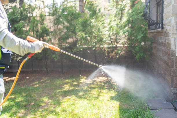 Best Residential Pest Control  in Fairmount Heights, MD