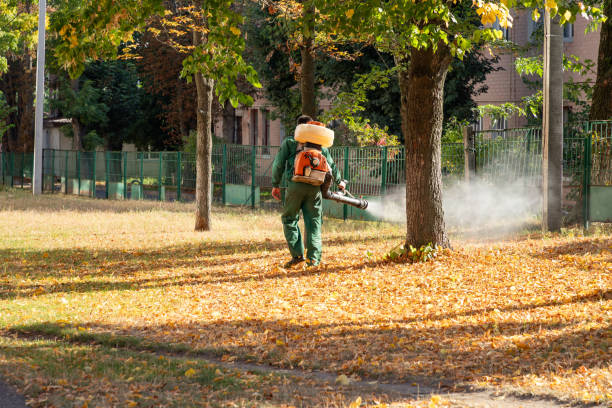 Best Exterminator Services  in Fairmount Heights, MD