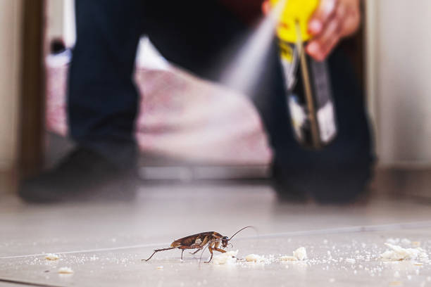 Best Ant Control Services  in Fairmount Heights, MD